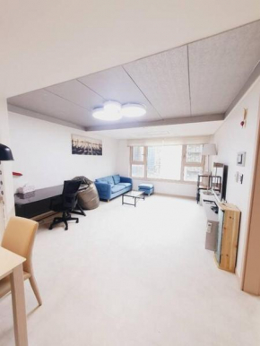 Gangnam Premium Apt 3Room 1Bath 풀옵션